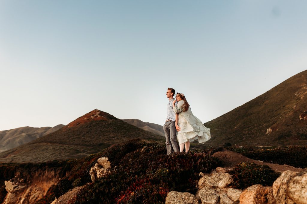 Big Sur proposal